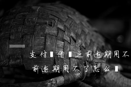 支付寶借唄之前逾期用不了-支付寶借唄之前逾期用不了怎么辦