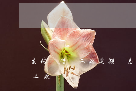 支付寶借唄二次逾期會怎樣 支付寶借唄逾期三次