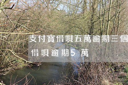 支付寶借唄五萬逾期三個(gè)月(支付寶借唄逾期5萬)
