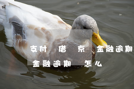支付寶借唄京東金融逾期-支付寶借唄京東金融逾期會怎么樣