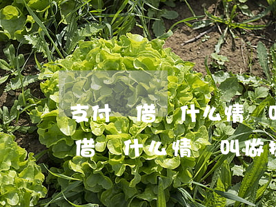 支付寶借唄什么情況叫做提前還款-支付寶借唄什么情況叫做提前還款了