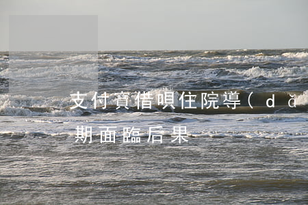 支付寶借唄住院導(dǎo)致逾期(借唄逾期面臨后果)
