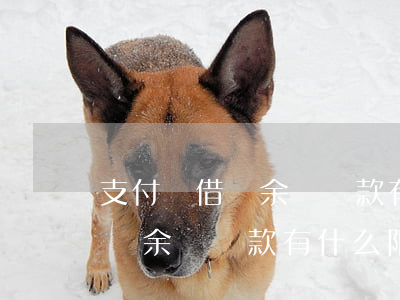 支付寶借唄余額還款有什么限制-支付寶借唄余額還款有什么限制嗎