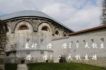 支付寶借唄借20天能直接還款嗎-支付寶借唄借20天能直接還款嗎安全嗎