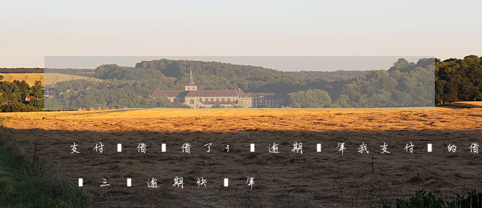 支付寶借唄借了3萬逾期兩年(我支付寶的借唄三萬逾期快兩年)