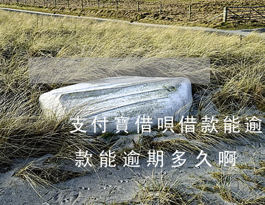 支付寶借唄借款能逾期多久-支付寶借唄借款能逾期多久啊