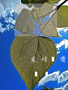 支付寶借唄儲蓄卡還款額度限制-支付寶借唄儲蓄卡還款額度限制多少