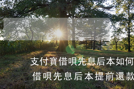支付寶借唄先息后本如何提前還款-支付寶借唄先息后本提前還款怎么算
