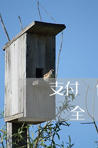 支付寶借唄全額還款還需要還嗎-支付寶借唄全額還款還需要還嗎安全嗎