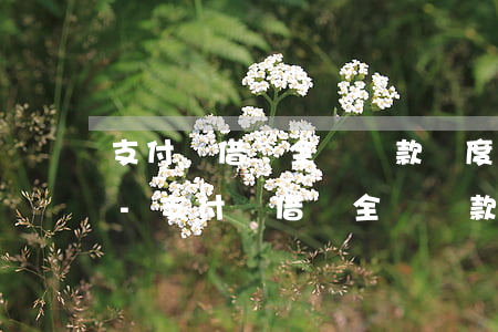 支付寶借唄全額還款額度會(huì)降低-支付寶借唄全額還款額度會(huì)降低嗎