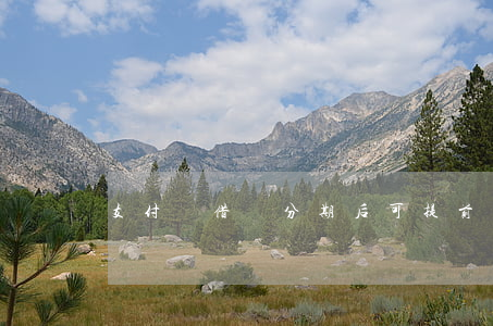 支付寶借唄分期后可提前還款嗎-