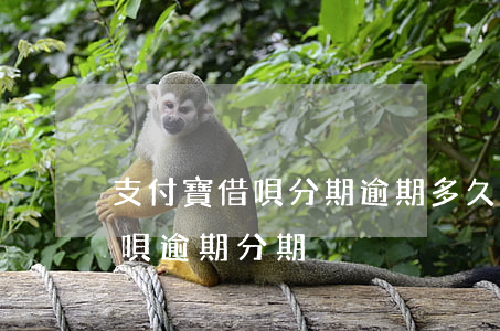 支付寶借唄分期逾期多久就讓全額還上-借唄 逾期 分期