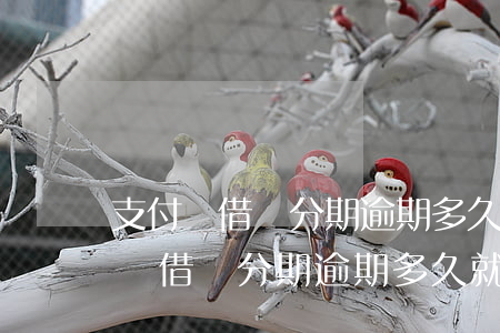 支付寶借唄分期逾期多久就讓全額還上(支付寶借唄分期逾期多久就讓全額還上)