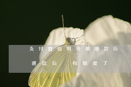 支付寶借唄分期還款后沒有額度-借唄分期還款后沒有額度了