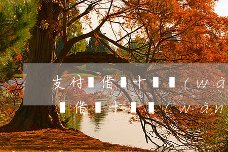 支付寶借唄十幾萬(wàn)逾期了-支付寶借唄十幾萬(wàn)逾期了怎么辦