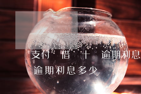 支付寶借唄十萬逾期利息-支付寶借唄十萬逾期利息多少