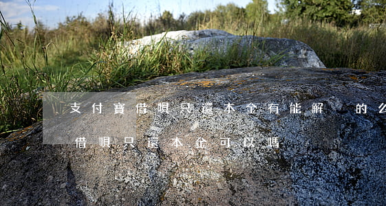 支付寶借唄只還本金有能解決的么-支付寶借唄只還本金可以嗎?