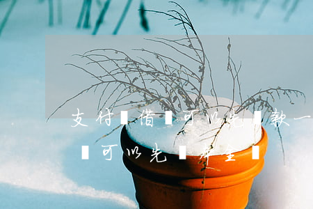 支付寶借唄可以先還款一部分嗎-支付寶借唄可以先還本金嗎