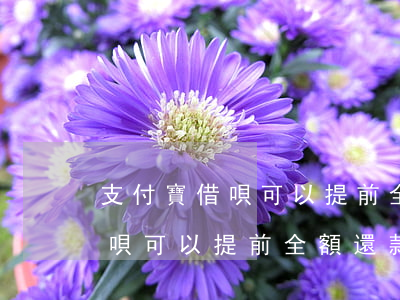 支付寶借唄可以提前全額還款嗎-支付寶借唄可以提前全額還款嗎安全嗎