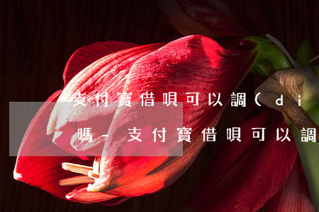 支付寶借唄可以調(diào)整還款時間嗎-支付寶借唄可以調(diào)整還款時間嗎