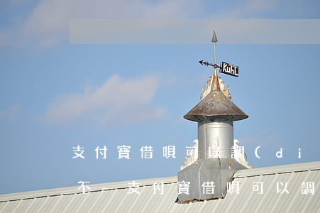 支付寶借唄可以調(diào)整還款額度不-支付寶借唄可以調(diào)整還款額度不