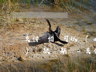 支付寶借唄可以調(diào)節(jié)還款賬期嗎-支付寶借唄可以調(diào)節(jié)還款賬期嗎安全嗎