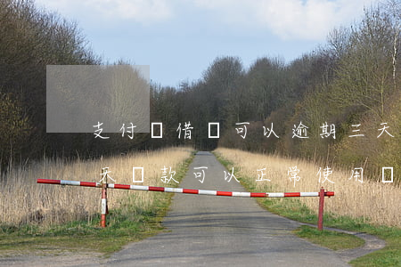 支付寶借唄可以逾期三天(支付寶借唄逾期三天還款可以正常使用嗎)