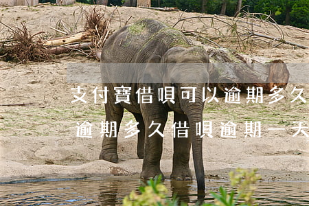 支付寶借唄可以逾期多久-支付寶借唄可以逾期多久?借唄逾期一天會怎么樣(2)
