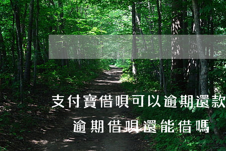 支付寶借唄可以逾期還款么(其它逾期,支付寶沒逾期借唄還能借嗎?)