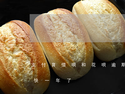 支付寶借唄和花唄逾期1年了（借唄花唄逾期快一年了）