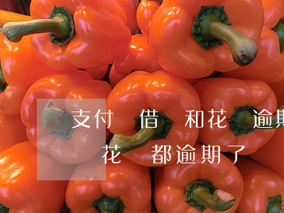 支付寶借唄和花唄逾期久了會怎樣(支付寶借唄花唄都逾期了)