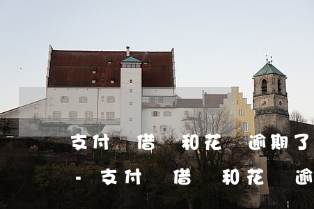 支付寶借唄和花唄逾期了先還哪個(gè)-支付寶借唄和花唄逾期了先還哪個(gè)呢