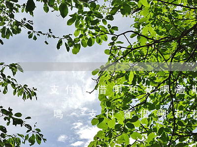 支付寶借唄和花唄逾期會(huì)被起訴嗎-支付寶借唄和花唄逾期會(huì)被起訴嗎?