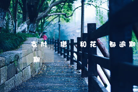 支付寶借唄和花唄都逾期了(支付寶的借唄逾期)