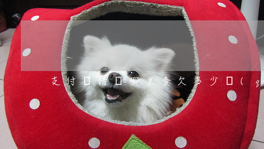 支付寶借唄哪里查欠多少錢(qián)