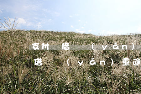 支付寶借唄嚴(yán)重逾期了-支付寶借唄嚴(yán)重逾期了,重新制定還款計(jì)劃