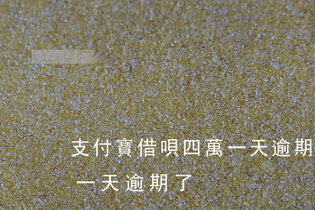 支付寶借唄四萬一天逾期-支付寶借唄四萬一天逾期了