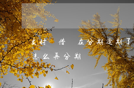 支付寶借唄在分期逾期了-支付寶借唄逾期怎么再分期
