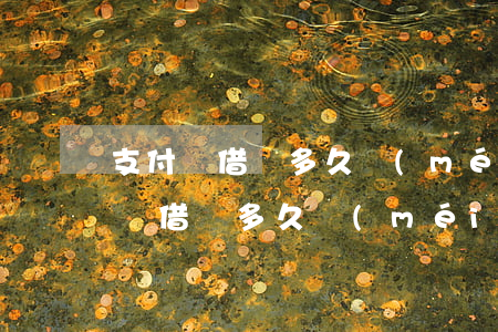 支付寶借唄多久沒(méi)還算逾期(支付寶借唄多久沒(méi)還算逾期)