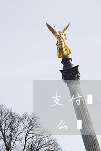 支付寶借唄小額逾期(支付寶的借唄逾期了怎么辦)