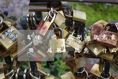 支付寶借唄延期還款需要什么資料-支付寶借唄延期還款需要什么資料呢