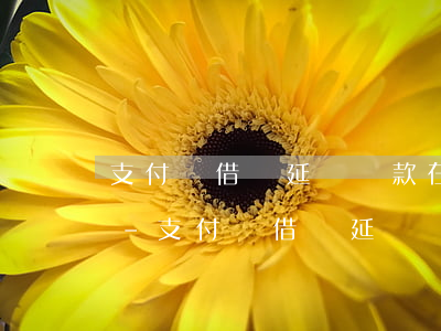 支付寶借唄延遲還款在哪里設(shè)置-支付寶借唄延遲還款在哪里設(shè)置的