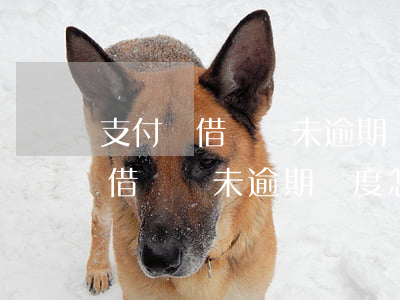 支付寶借唄從未逾期額度怎么沒了-支付寶借唄從未逾期額度怎么沒了呢