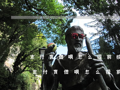 支付寶借唄怎么提前按計(jì)劃還款-支付寶借唄怎么提前按計(jì)劃還款呢