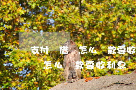 支付寶借唄怎么還款要收利息嗎-支付寶借唄怎么還款要收利息嗎是真的嗎