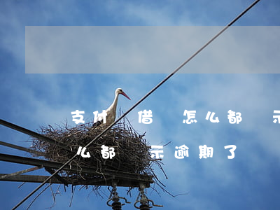 支付寶借唄怎么都顯示逾期-支付寶借唄怎么都顯示逾期了