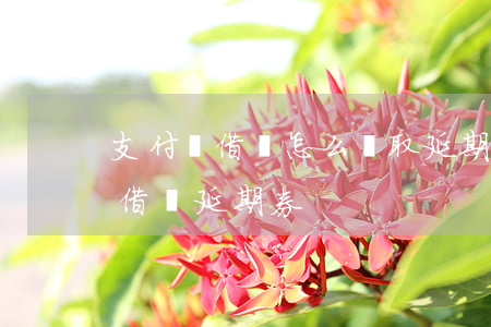 支付寶借唄怎么領取延期還款卷-怎么領取借唄延期券