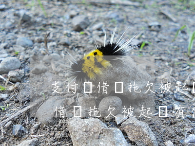 支付寶借唄拖欠被起訴有什么后果-支付寶借唄拖欠被起訴有什么后果嗎
