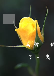 支付寶借唄按時還款為啥給關(guān)了-支付寶借唄按時還款為啥給關(guān)了呢