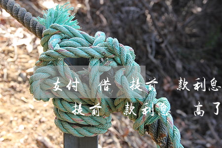 支付寶借唄提前還款利息變高了-支付寶借唄提前還款利息變高了怎么回事